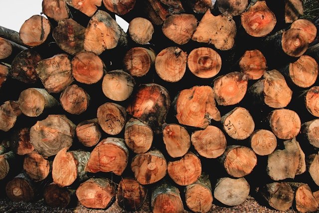 Pile of round wooden logs